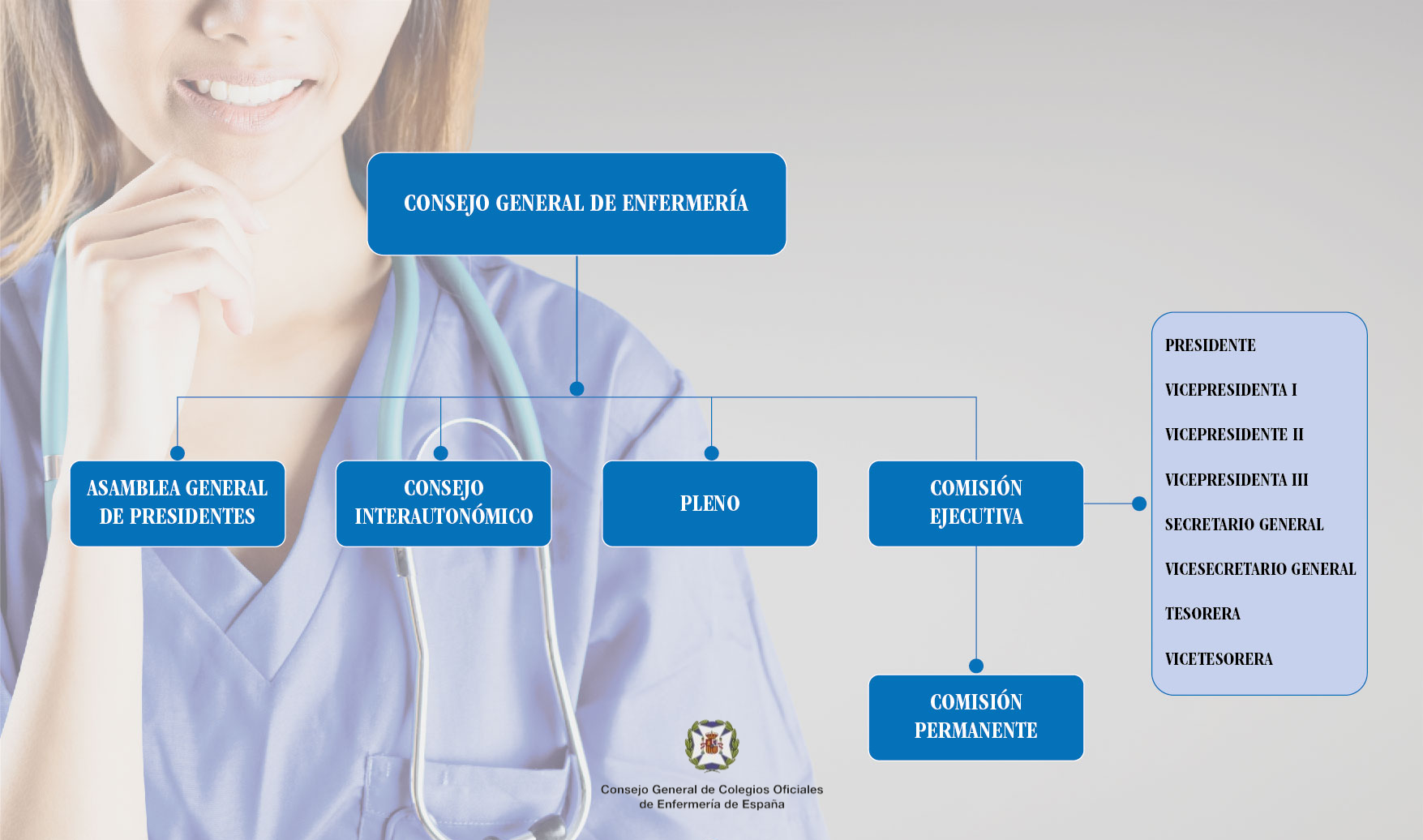 Estructura Órganos de Gobierno