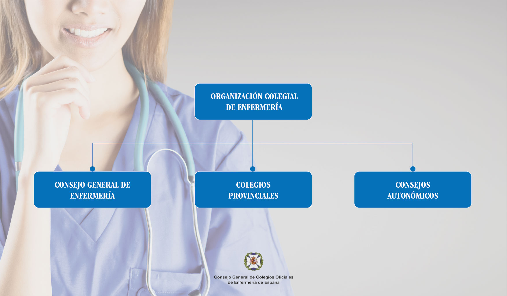 Estructura Órganos de Gobierno