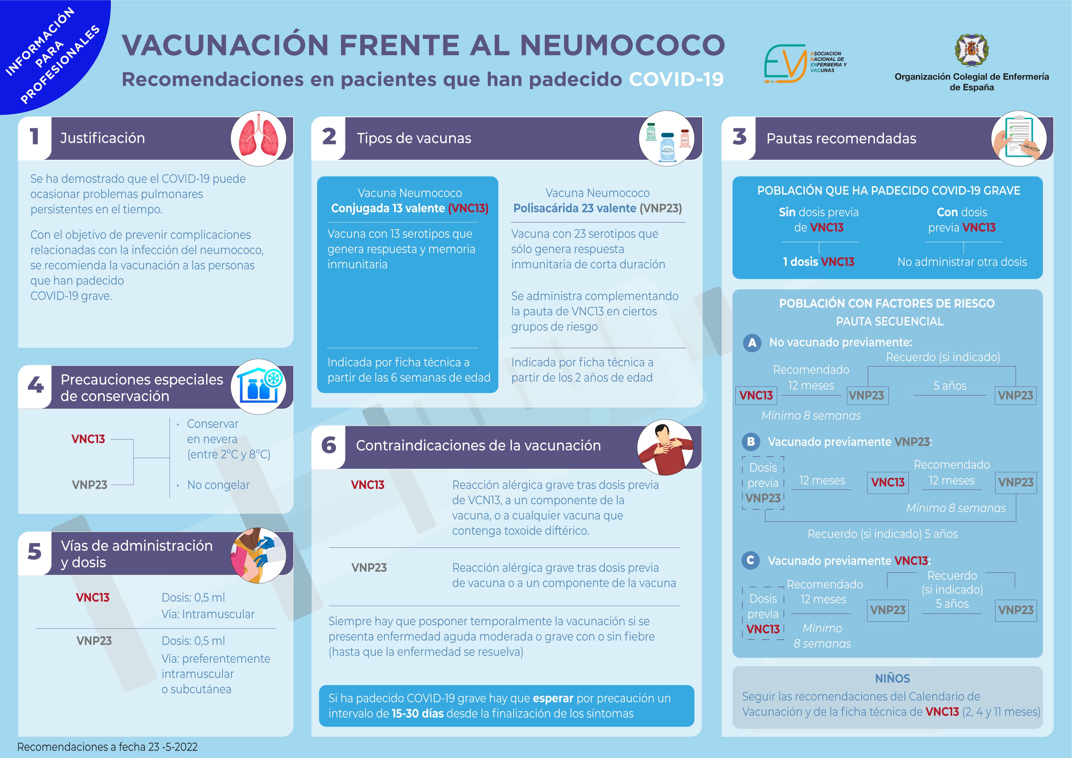 InfografiaNeumococoProfesionales