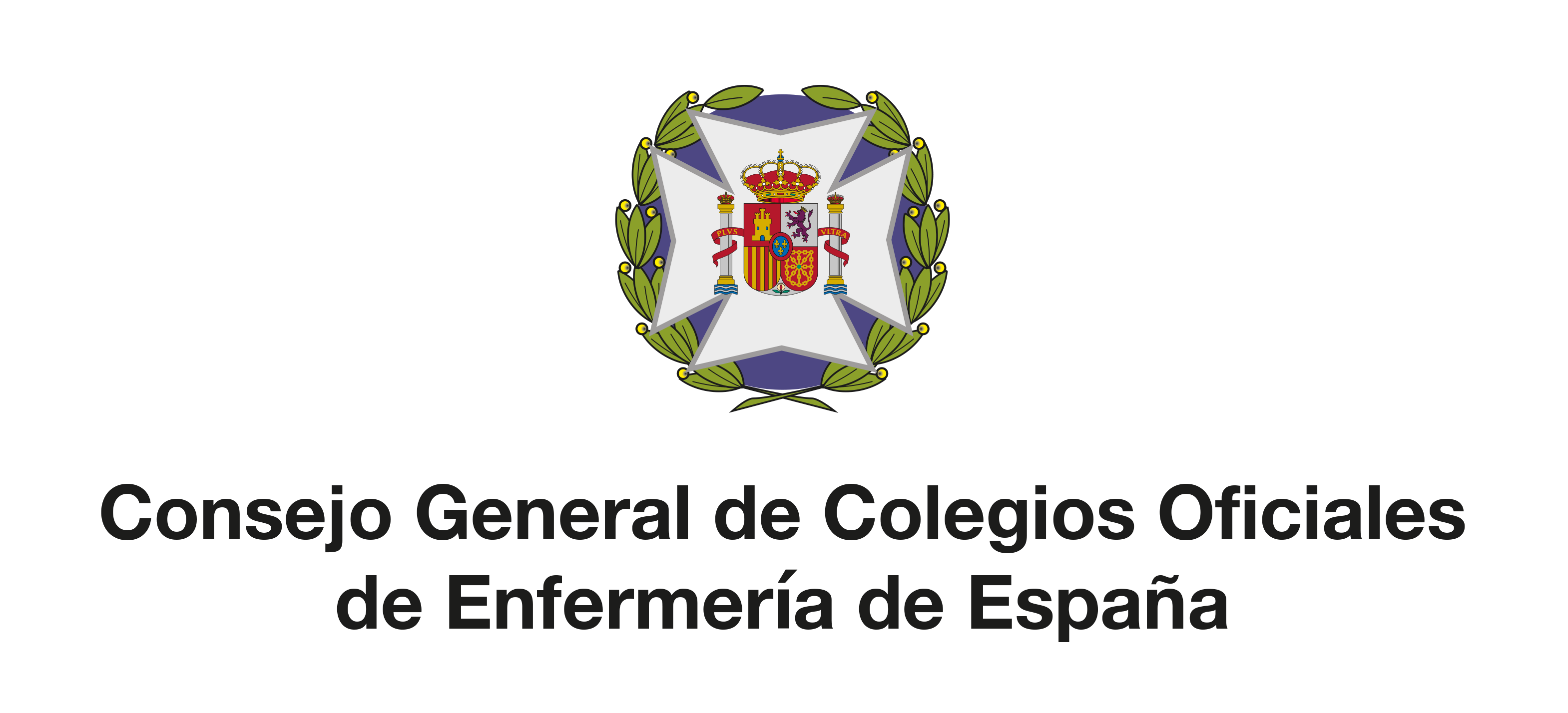 Escudo 2 CGE