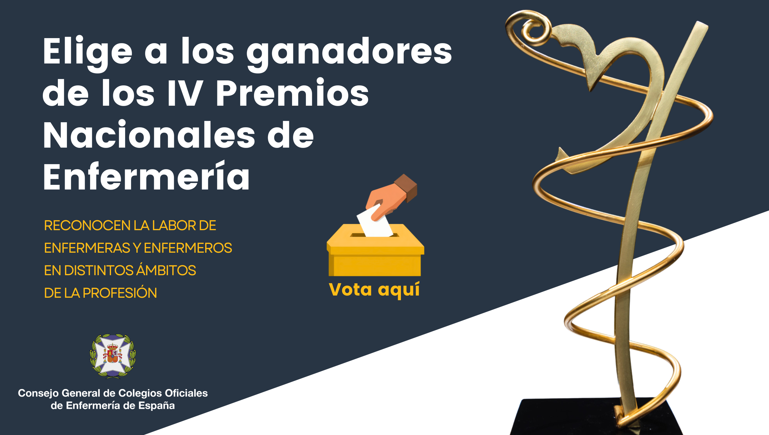 Formularios Premios Nacionales Enfermeria 2026