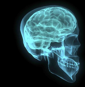 Con sólo 4 síntomas será posible detectar una contusión cerebral. Foto: SXC