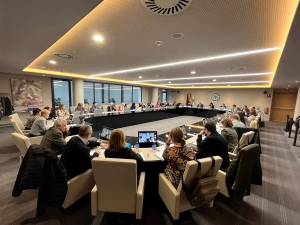 El Pleno del CGE trabaja en plataformas tecnológicas y formación gratuita para facilitar la prescripción a las 330.000 enfermeras