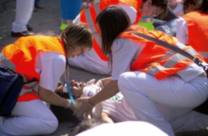 El Colegio de Enfermería de Álava concluye su curso de emergencias