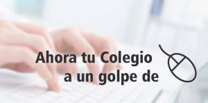 Málaga pone en marcha la colegiación online