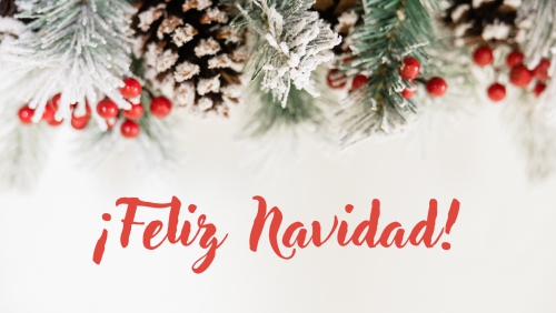 ¡Feliz Navidad!