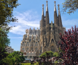 La Organización Colegial suma fuerzas el último mes antes de llegar a Barcelona