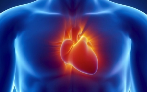 Médicos españoles prueban una terapia pionera con células madre para reparar el corazón tras un infarto