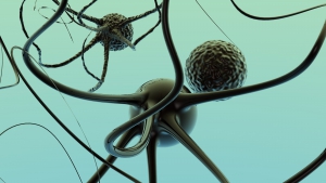 Las enfermeras, imprescindibles para la detección del deterioro cognitivo del paciente con esclerosis múltiple
