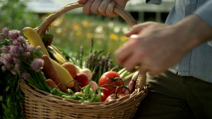 El etiquetado de los productos protagoniza el congreso de las enfermeras de nutrición