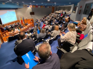 Aprobados por mayoría absoluta los presupuestos del Consejo General de Enfermería para 2022 marcados por principios de austeridad, solidaridad y transparencia