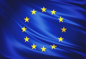 El Parlamento Europeo garantiza la seguridad de los pacientes asumiendo los argumentos de la Red Europea de Reguladores Enfermeros