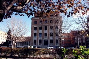 Las Universidades no podrán reducir a tres años la duración del Grado de Enfermería