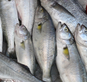 El pescado azul contiene ácidos grasos omega 3