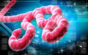España, libre de ébola a la espera de lo que ocurra con la cooperante navarra