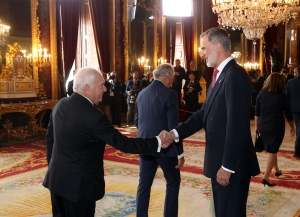 El presidente de las enfermeras traslada los problemas de la profesión en la recepción de los Reyes en el Día de la Fiesta Nacional