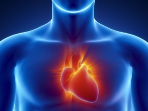 La epinefrina puede resultar más perjudicial que beneficiosa para un paro cardiaco