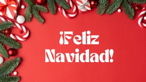 ¡Feliz Navidad, y feliz año 2025!