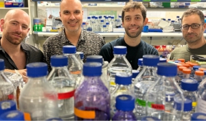 Investigadores del CNIO crean el primer catálogo de &quot;cicatrices&quot; en el ADN que ayudará a definir tratamientos personalizados contra el cáncer