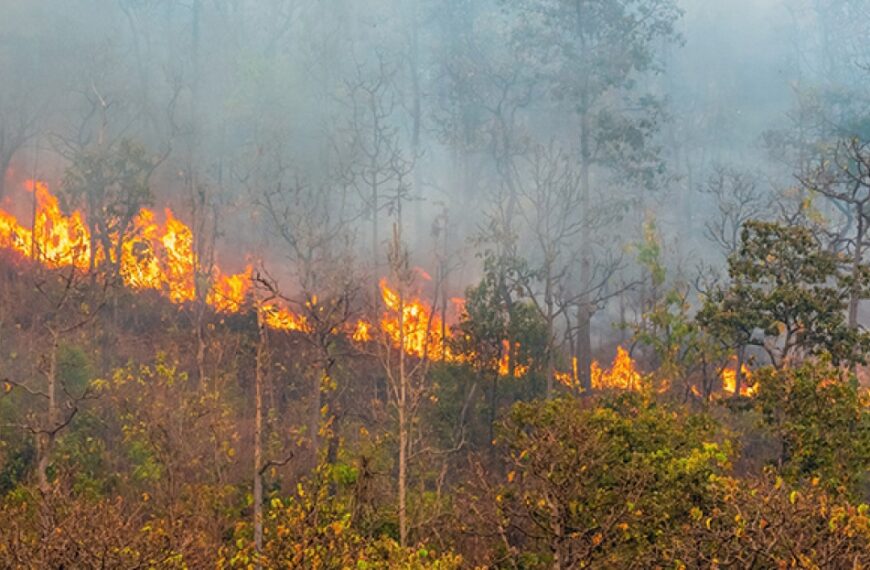 El CGE muestra sus condolencias por las muertes del incendio de Almería y recuerda las pautas a seguir en el caso de encontrarse cerca de un fuego 